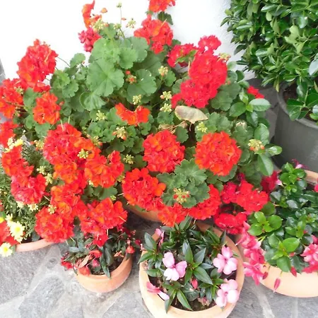 Vakantiehuis Walchenhof Mayrhofen