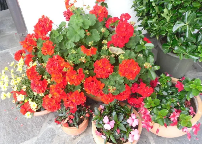 別荘 Walchenhof マイヤーホーフェン